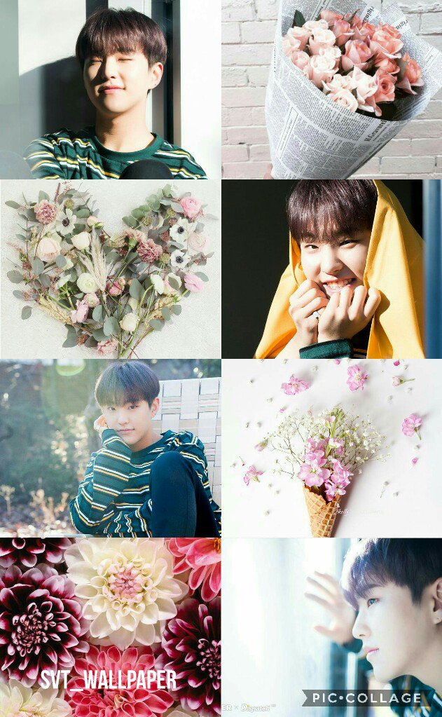 SVT_WALLPAPER18's tweet photo. The cutest Prince ever!
What day is it? It's #Prince_Hoshi_Day happy birthday  Hoshi 오빠. Keep on dancing. Have a nice day and enjoy!
사랑해! https://t.co/Mw6kqitqOt