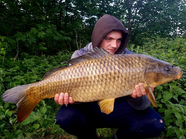 BigFishBaits's tweet photo. Leighton Renouf-Rial with a few more stunning fish he has had on the #Squilberry https://t.co/fhzphuBptN