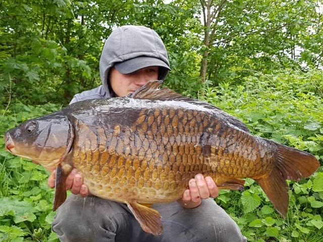 BigFishBaits's tweet photo. Leighton Renouf-Rial with a few more stunning fish he has had on the #Squilberry https://t.co/fhzphuBptN