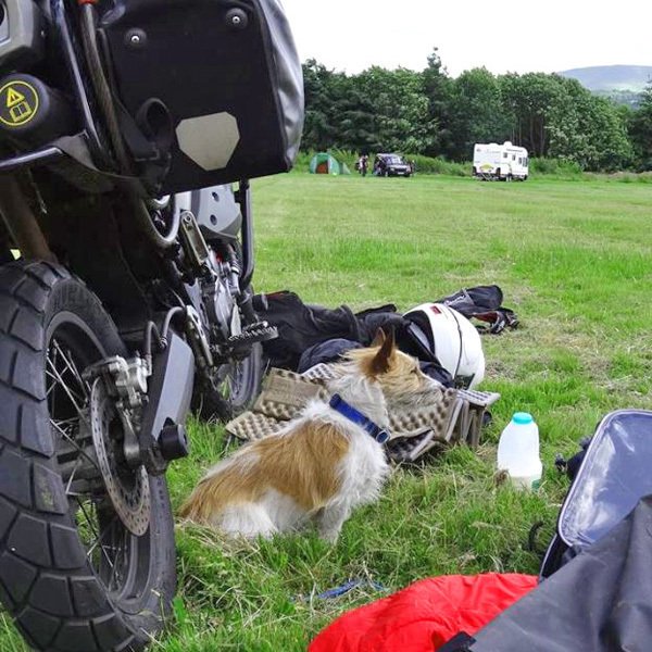 Motorcycle adventure travel is best shared with your best buds. You're among friends with #HorizonsUnlimited!
#DogsOnAdventures #adventuretravel #AchievableDream ift.tt/2t9mt2d