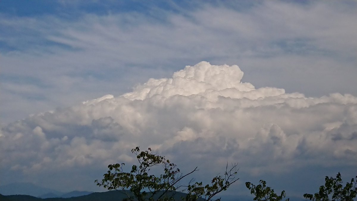 にゅうどうぐも