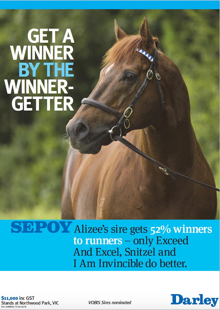 Get a winner by the winner getter - SEPOY - standing at Northwood Park for $11,000 (inc GST)