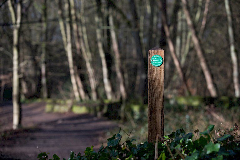 theoutdoorcity's tweet photo. We’re now halfway through #MoveMoreMonth so if you’re in need of ideas to keep moving, why not explore a part of #Sheffield you haven’t been to before. For starters, there’s 30+ #RunRoutes signposted and mapped across 15 locations in the city 👉https://t.co/9LPe3Wmd5x https://t.co/LK4fcbjGZE