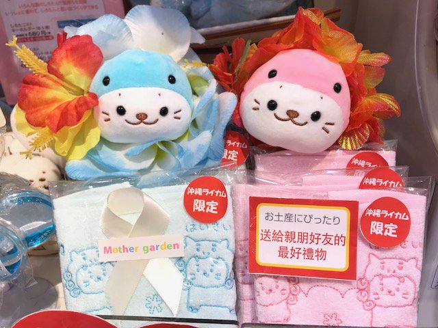 はいさい！沖縄ライカム店から、つちのこたん出没情報が送られてきまし