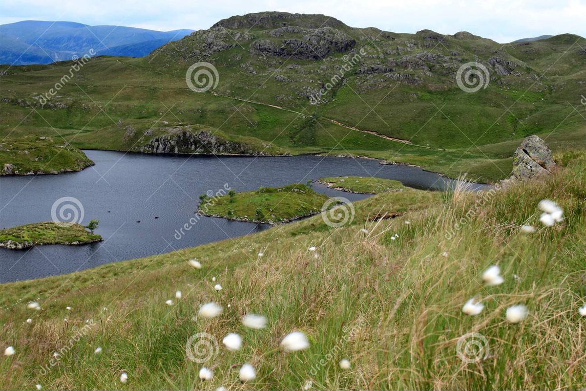 A windy #AngleTarn above #Patterdale in the #LakeDistrict #WainwrightsWalks #Backpacking #wildcamping ⁦@lakedistrictnpa⁩  dreamstime.com/fresh-water-la…