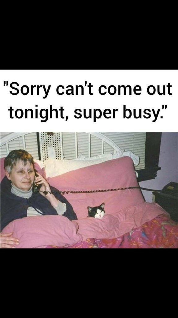 FallDesert's tweet image. Think it’s been over a month since I’ve streamed! Moved into my new crib, got the broadband in. Last night was a quality stream. Thank you everyone who Stoped by. 

Back on the stream Monday baby!