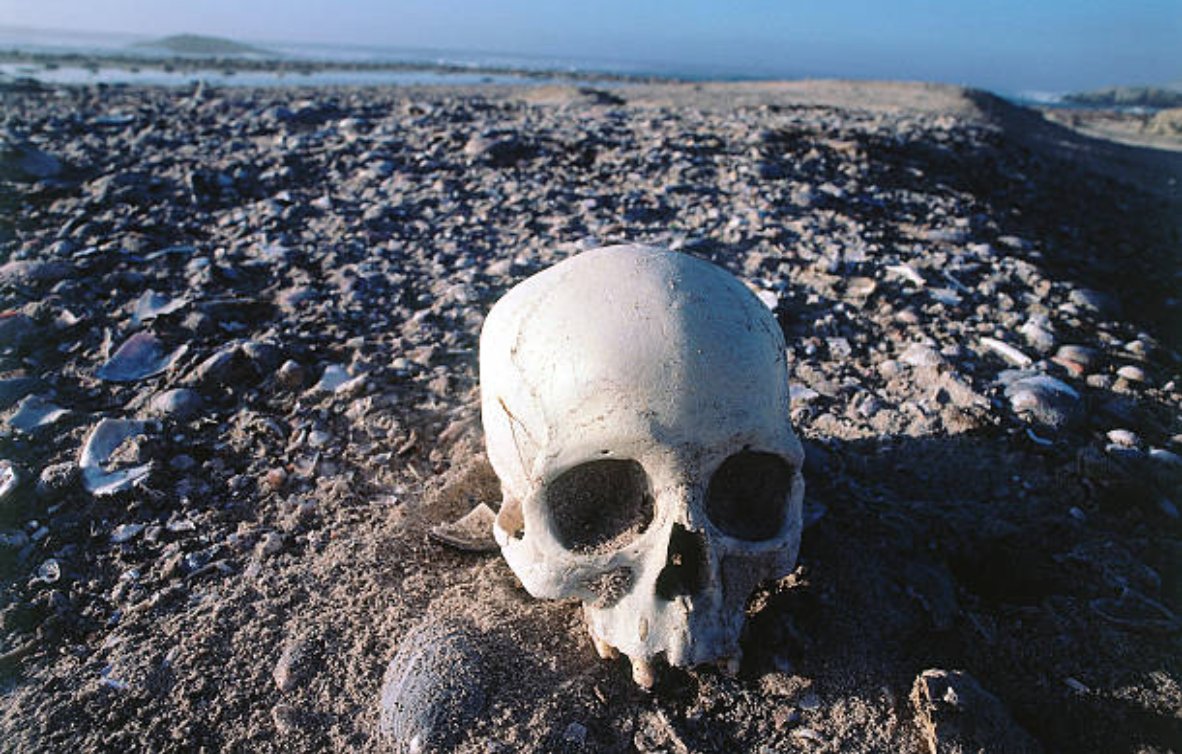 SarahWardAU's tweet photo. #FindsFriday - 13 years after he was first found, @CHISNPS have announced the discovery of 10,000-year-old Tuqan Man https://t.co/g5IYsZ4WmA #coastal #archaeology #sanmiguel #channelislands #FridaysFind https://t.co/H52xd0rkIm