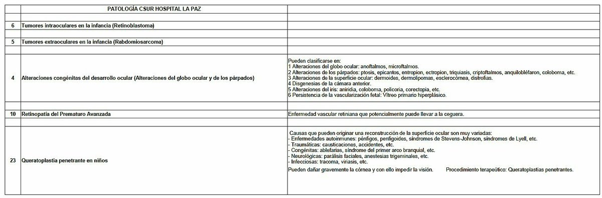 SusOjosMisOjos's tweet photo. Recordamos los 5 CSUR que Oftalmología Infantil del @HospitalULaPaz atiende y trata. 2 de ellos son únicos en toda España: 4.- Alteraciones Congénitas del Desarrollo Ocular; y 10.- Retinopatía del Prematuro Avanzada. 
#SuVidaMiLuchaSusOjosMisOjos #ConLosNiñosNoSeJuega #5CSUROftIn https://t.co/gDjDa9phmR