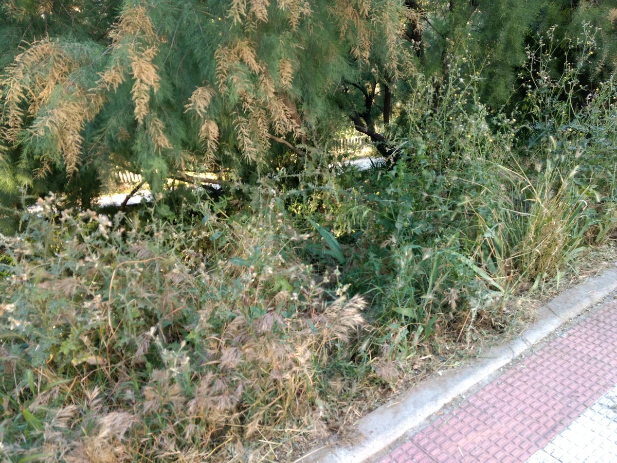 kikobernal's tweet photo. #ayunt.coslada.de como abandonar un parque a convertirse en un vertedero sin luz hace tres semanas y dando aviso de avería que más hay que hacer, https://t.co/jF9isGjsWs