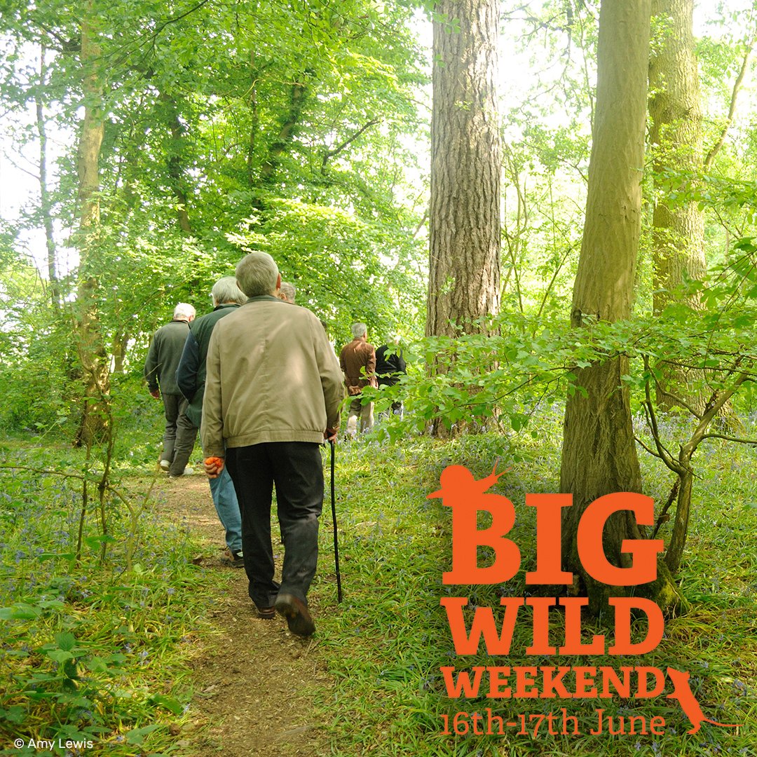 WildlifeTrusts's tweet image. This weekend is the BIG WILD WEEKEND! An amazing 200 events happening all over the UK to bring you closer to nature - butterfly walks, rockpool rambles,  walks, talks and even a festival wtru.st/2sUsnox #30DaysWild #BigWildWeekend