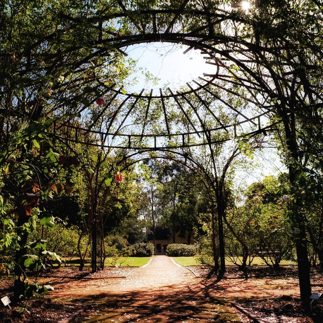 sydney_sider's tweet photo. Explore World Heritage-listed colonial wonders in Parramatta Park! Take a historic tour, wander the gorgeous Rumsey Rose Garden and enjoy an idyllic picnic by the pond in the Murray Gardens. #ilovesydney

📷 IG/jan_e_can https://t.co/VT2OOurmL7
