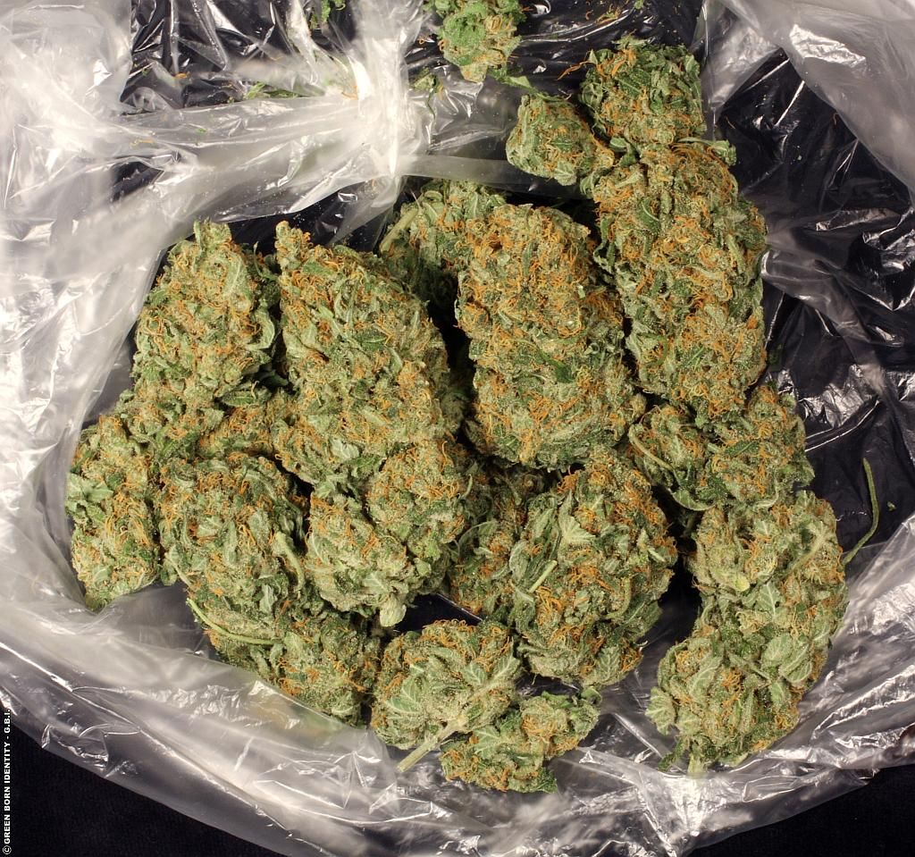 LPop420's tweet photo. https://t.co/d2lzkXX9YA
