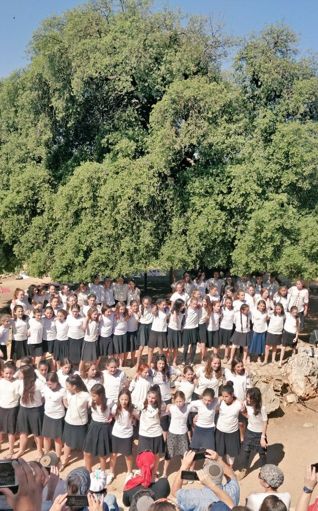 avilevine123's tweet photo. Celebrating the collective Bat Mitzvah of our daughter's 6th grade class at the Lone Tree in Gush Etzion. Perhaps, in a sense, it feels no longer alone. #liveloveisrael #israelat70 https://t.co/Vlwuiyvsgc