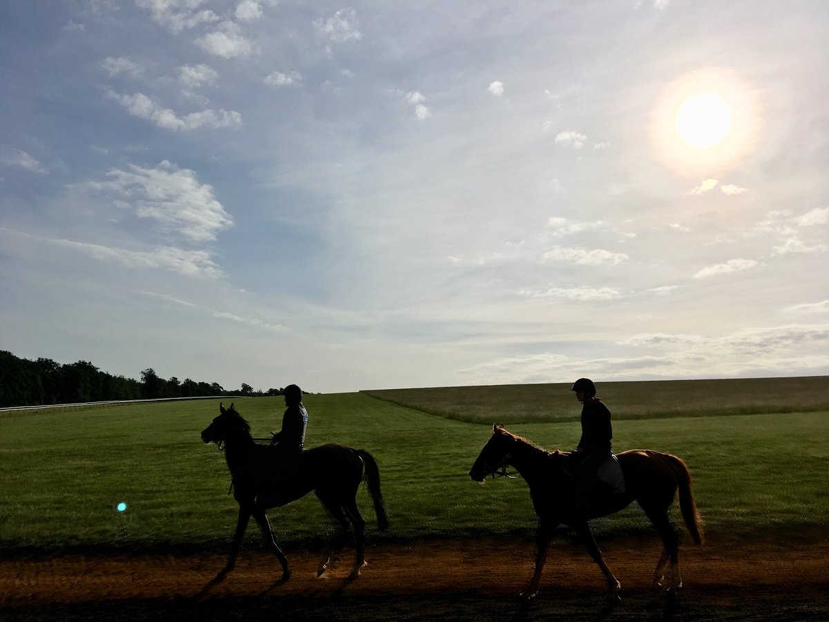 JohnWathenBerry's tweet photo. Start of another glorious day on the Heath @NewmarketGallop #WastedSunsets #Freediver https://t.co/J3KguYk51v