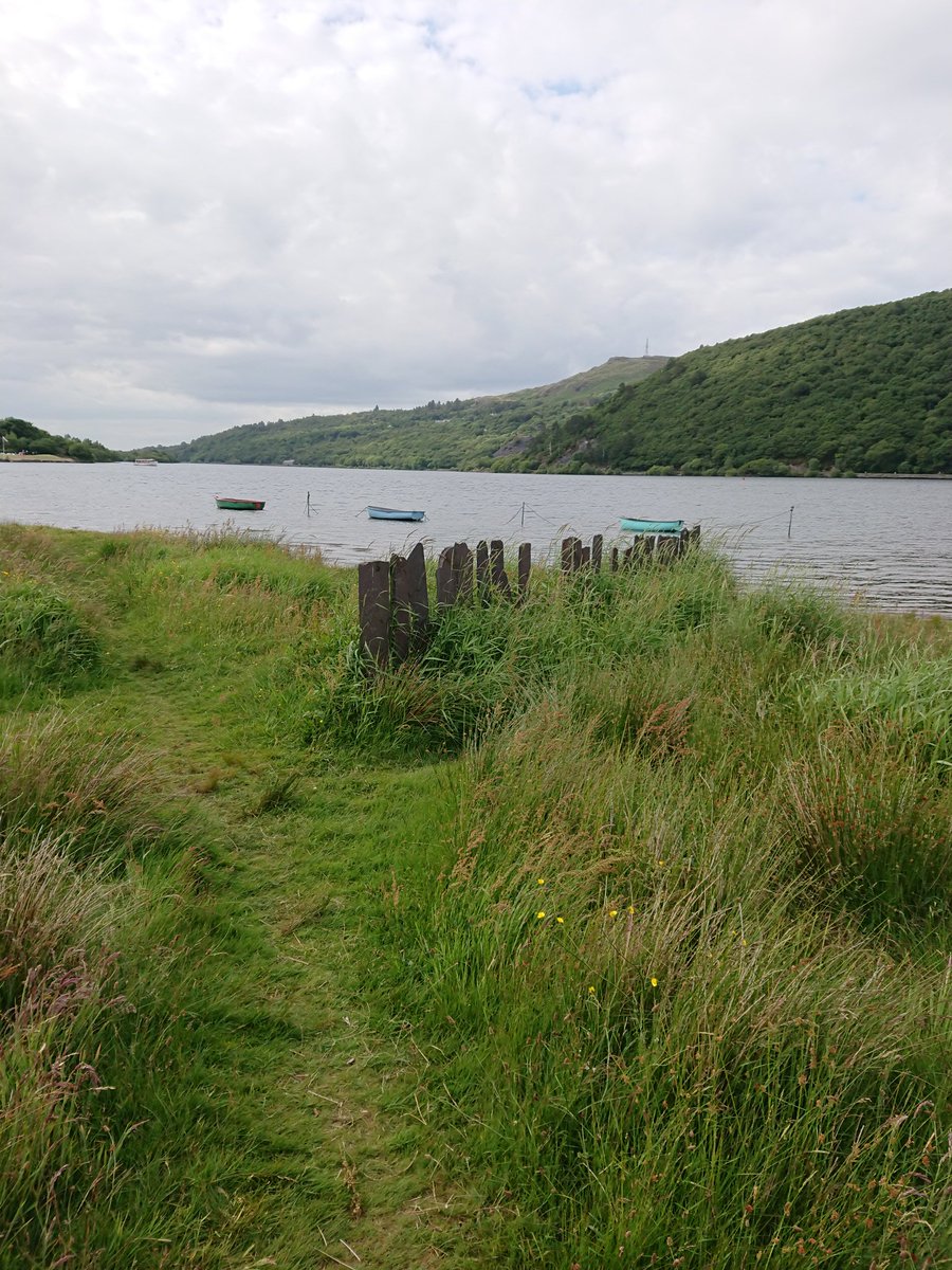 fossilplants's tweet photo. Tomorrow will mostly be spent restoring this beautiful remnant of traditional #NorthWales slate fence in @EinCaerDdol on the edge of #LlynPadarn. https://t.co/9Q8bbsxQaS