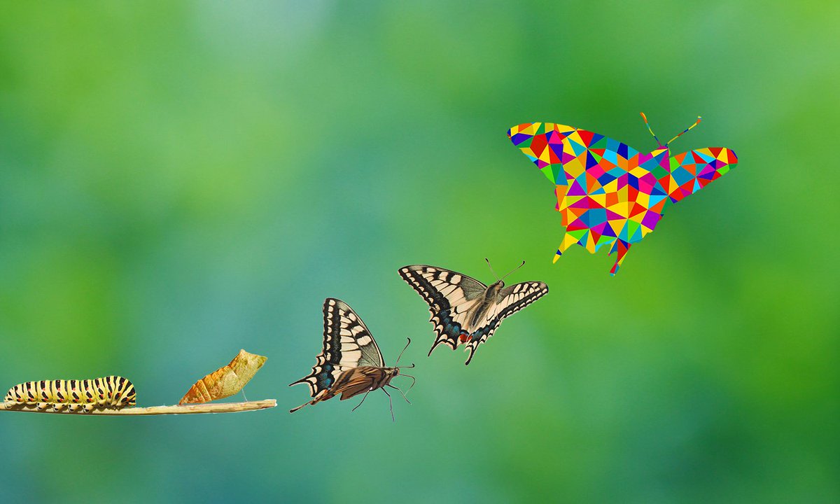 Reiswerk's tweet photo. @LobkeElbers ging voor #Reiswerk in gesprek met @Sunweb @Schiphol @transavia @thika_travel @vacanceselect over redenen om te #innoveren in #travel: https://t.co/2PNftrLmat
#innovatie #inspiratie #reiswereld #travelindustrie #techniek #kansen #reisbranche #rsc18 #trends #online https://t.co/sTV3weO5kC