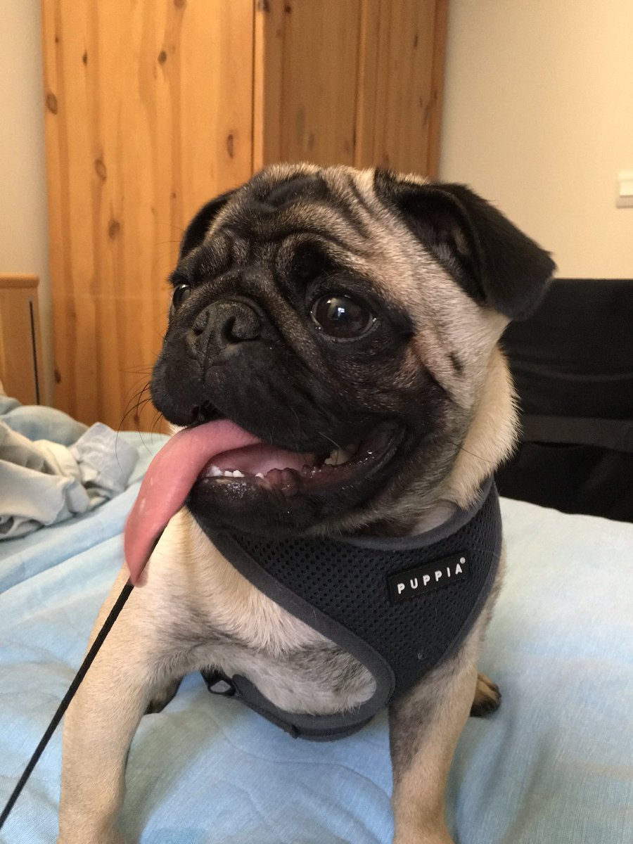 “I’m putting on my best cute face Dad”