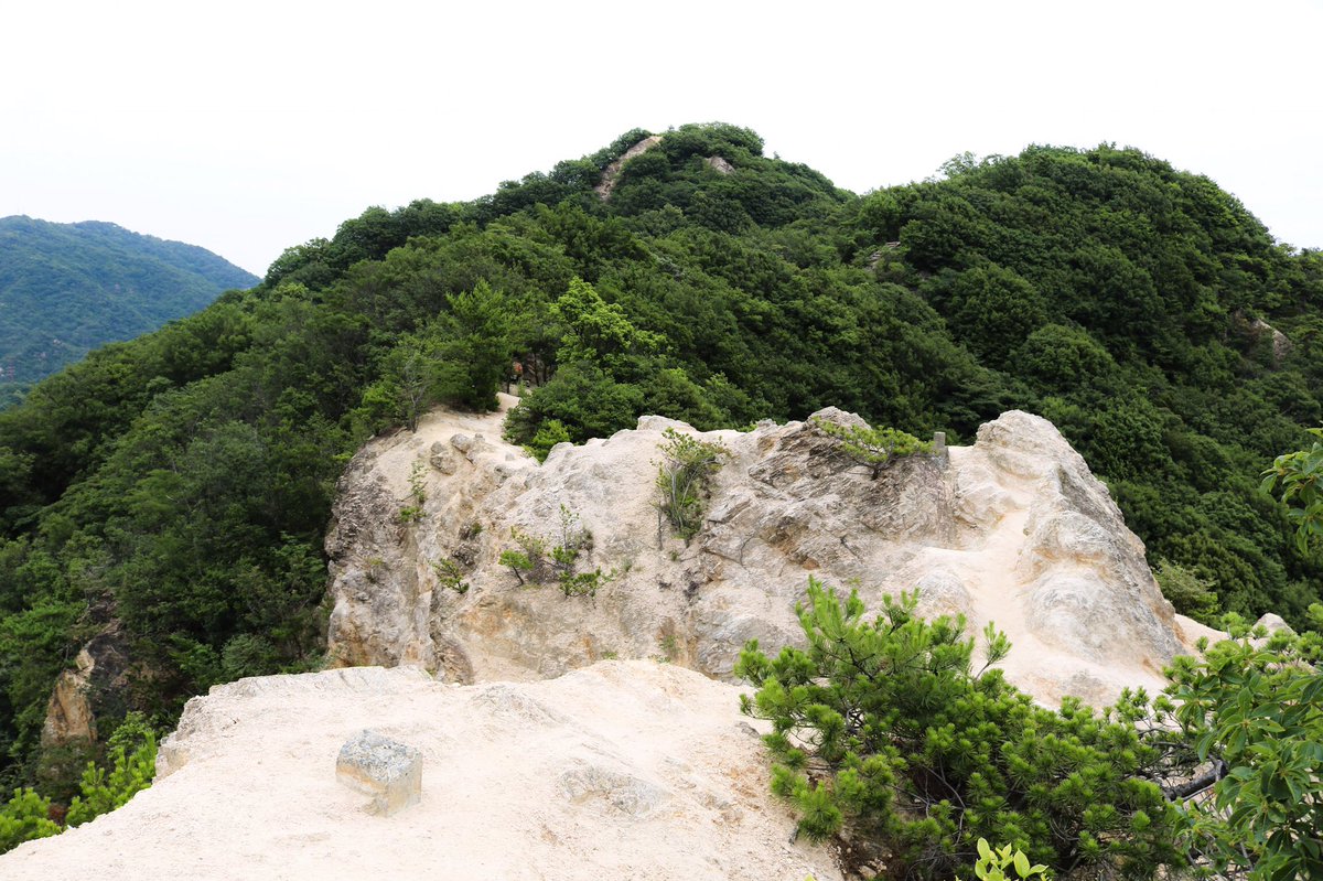 basa_photo's tweet photo. 須磨アルプスの「馬の背」
足を踏み外したら崖下まで落ちるような場所なので寿命が縮みました(^-^)

#カメラ好きな人と繋がりたい 
#写真好きな人と繋がりがたい 
#キリトリセカイ 
#一眼レフ初心者 https://t.co/Nq94BQab5C
