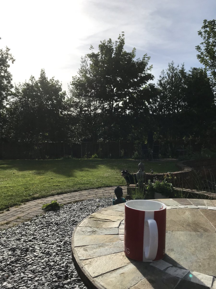 DrJonathanCox's tweet photo. What a #peng morning... that’s right, I said it. What you gonna do? #pengsort https://t.co/GBKWr4EpU0