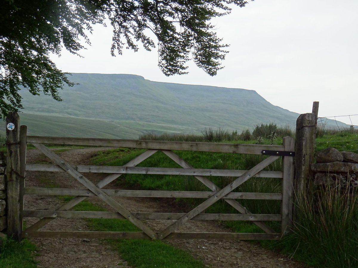 VisitUpperEden's tweet photo. How about a trip to beautiful #hellgillforce #hellgill #waterfall #mallerstang if you have that #FridayFeeling and carry on for a #walk up to the #watercut #sculpture on the #ladyanneway #365DaysWild #30DaysWild #Cumbria #yorkshiredales #westmorlanddales @visiteden https://t.co/DKbmhqOsye