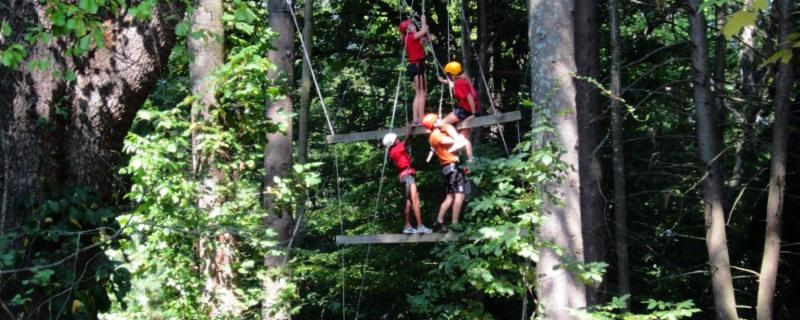 The Warren Center tweet media