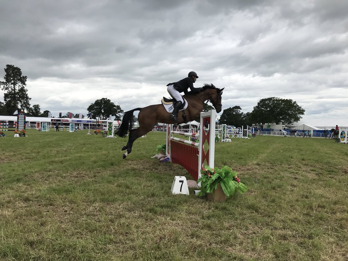 Brand ambassador <a href="/JayTigerHalim/">Jay Tiger Halim</a> jumping well @BolesworthInt  #bittastic #goteamtiger