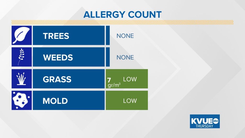 austin allergies on twitter did you take your allergy medication