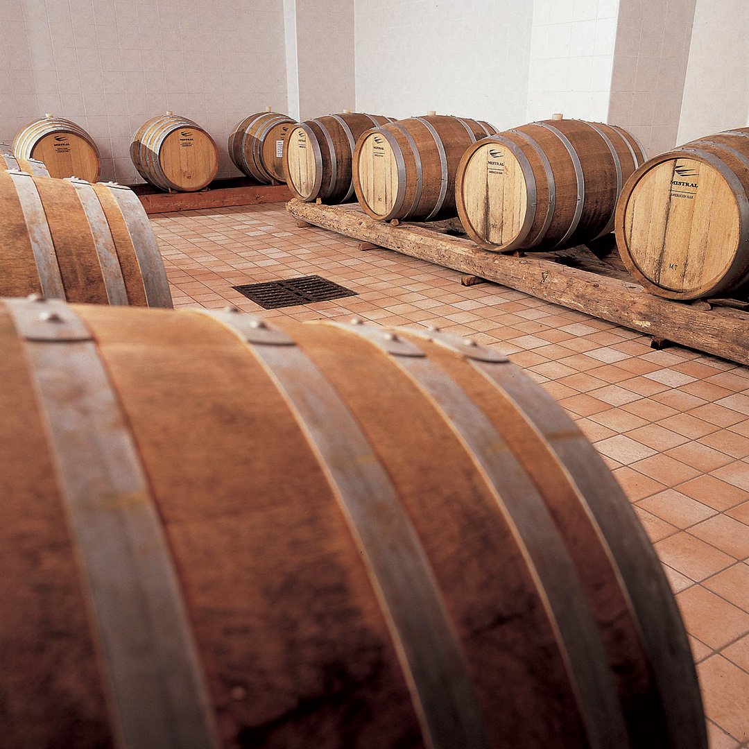 FieraCucinare's tweet image. La cantina Tenute Tomasella sarà presente a #EasyFish come espositore!
Si trova a due passi dal borgo di Portobuffolè, si estende su 30 ettari vitati tra la DOC Friuli Grave e la DOC Piave.
#easyfish2018 #cucina #lignano #fvg #showcooking #ricette #wine #vino