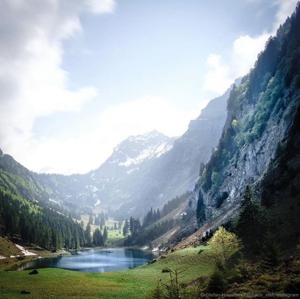 Switzerland tweet media