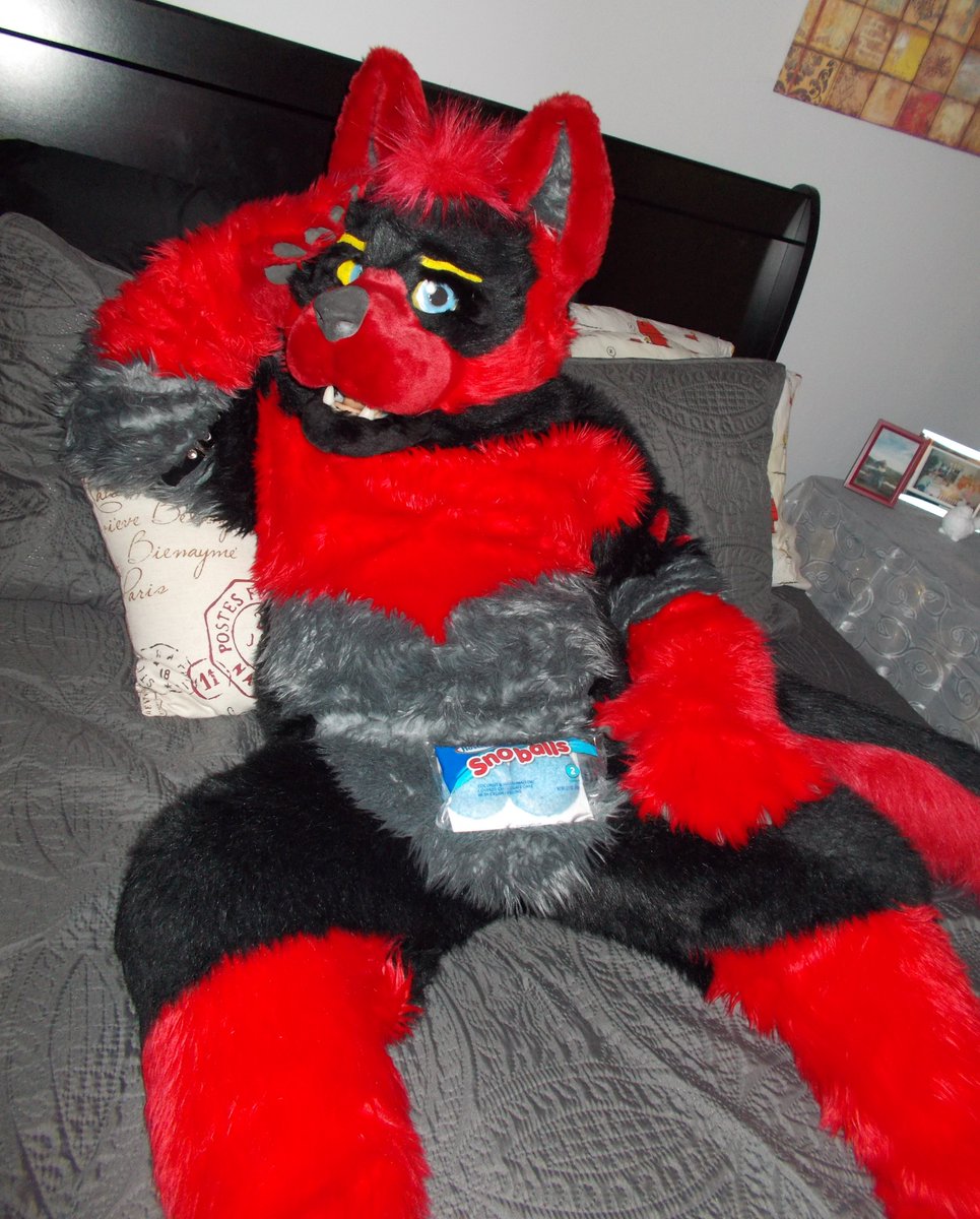 Little Red Wolvette On Twitter Got A Bad Case Of Blue Balls On This Fursuit Friday Fursuitfriday Little Red Wolvette On Twitter Got A Bad Case Of Blue Balls On This Fursuit Friday Fursuitfriday