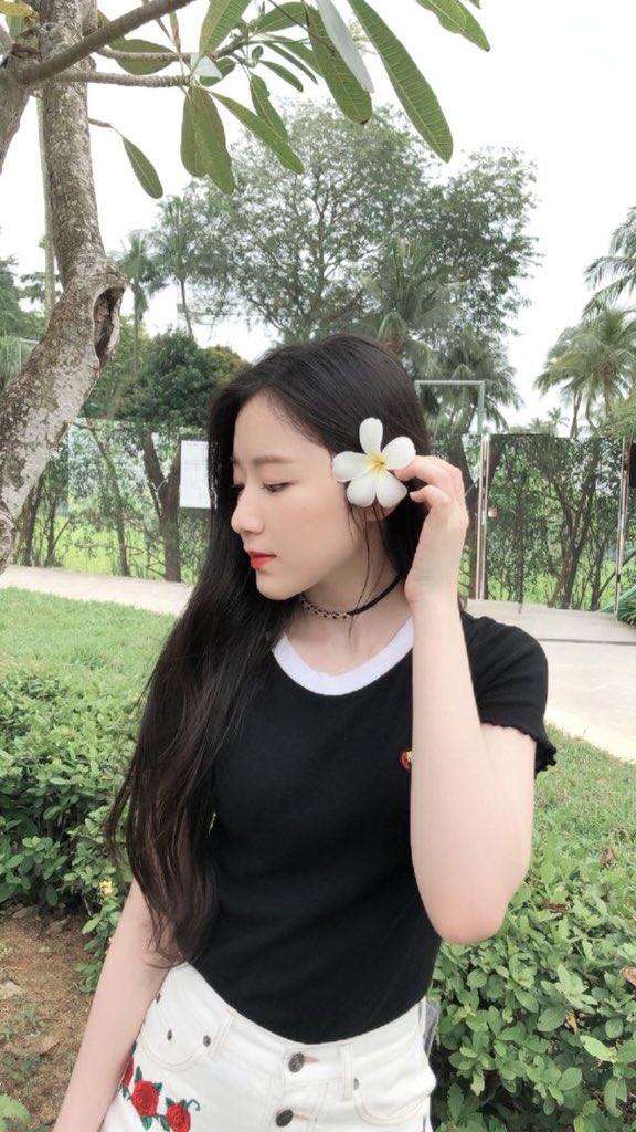 gidlepicsgifs's tweet photo. πΆπ πΆπΈπππΆπ π·πππππΎππ π»πππππ πΈ
#WELCOMEIDLE #G_IDLE #G_I_DLE #μ¬μμμ΄λ€ #LATATA #SHUHUA #μμν #μν #μμ΄λ€ #I_AM https://t.co/Q3nKVtz3f1