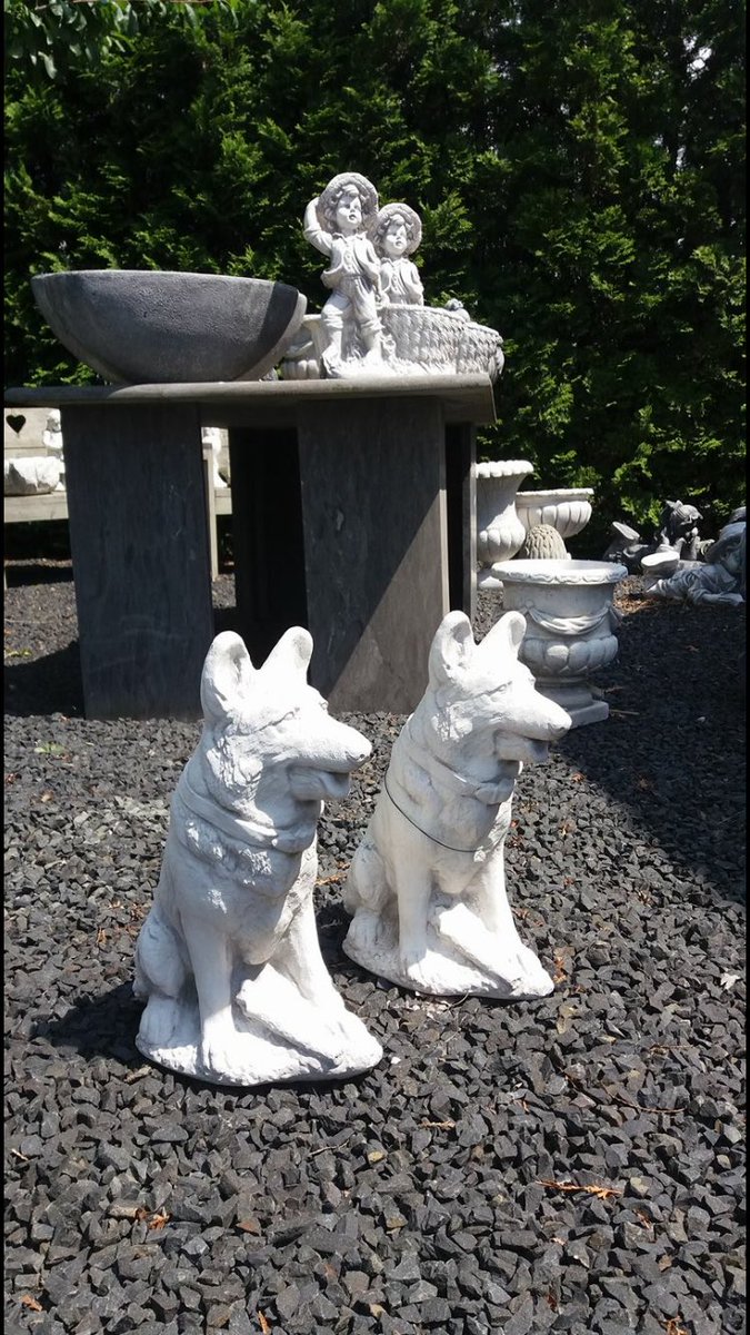 Voor de liefste VA!
De laatste herdershonden mogen weg voor 19,95€