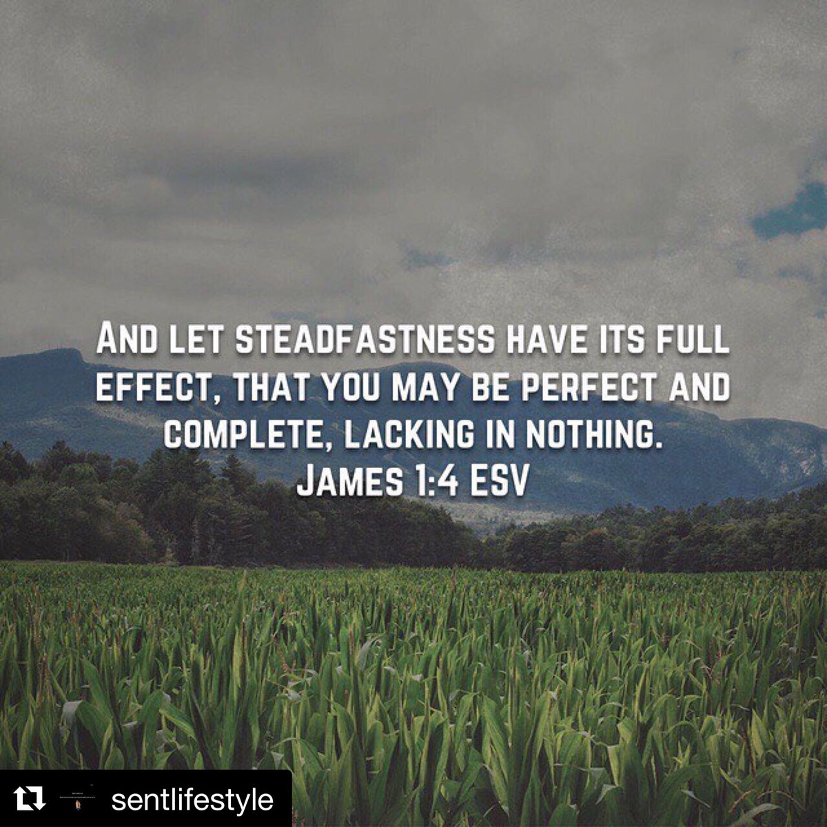 coachhow3's tweet photo. #Repost @sentlifestyle
Grow through what you Go through #SentLife https://t.co/XfuKqrOZJs