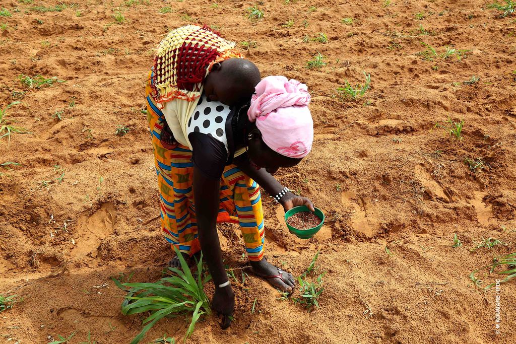 IFDC Training (ARCHIVED) tweet media