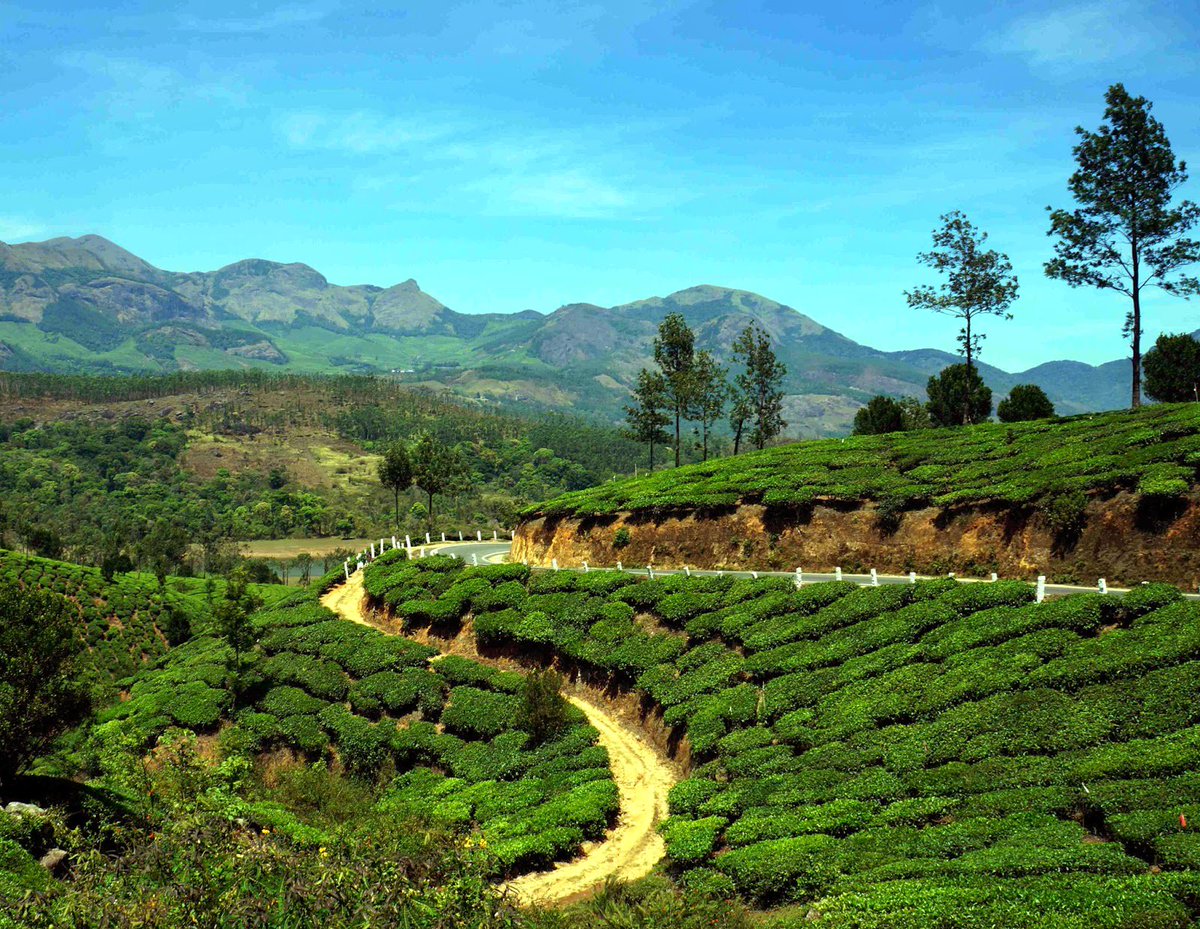 Be it for your honeymoon or for a rejuvenating break, monsoon is the best time to visit #Kerala. The soothing drops of rain instill a new life at God’s own country and create a magical aura.