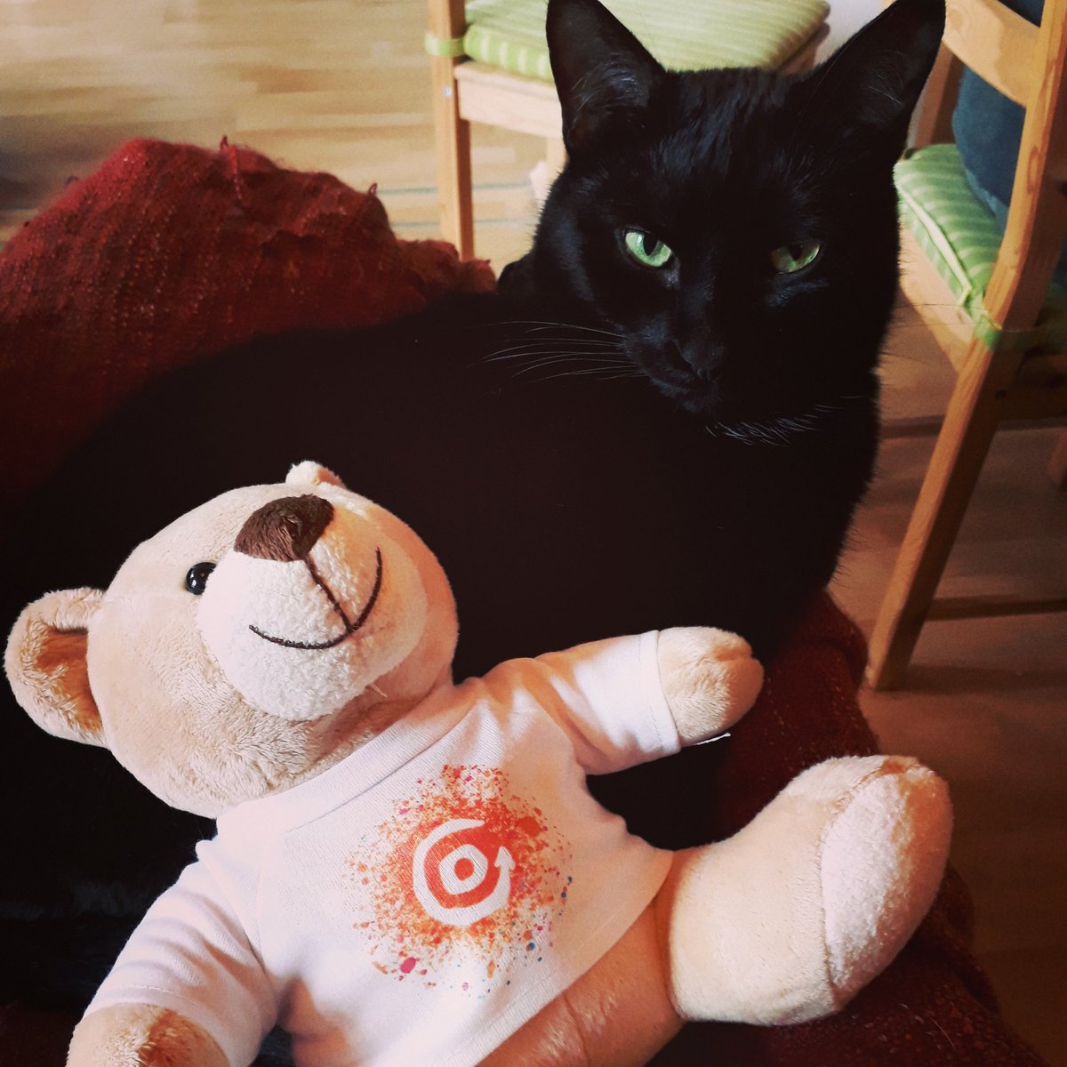 GoingOutAt's tweet photo. GoingOutAt goes Teddy! 🧡 🐻🐱
#catandteddy #teddy #events #vienna #boredcat #catsofinstagram #unimpressedcat #happyteddy https://t.co/zjXx4Uaina