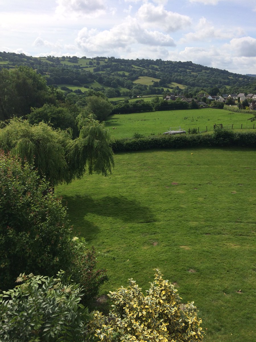 Bramptons Primary tweet media