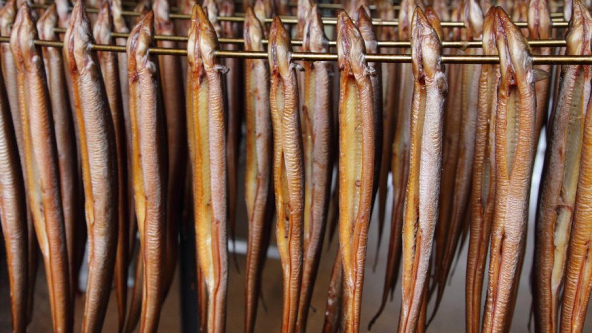 Pefa_com's tweet image. Het palingseizoen is weer gestart in Zweden! Lees meer op pefa.com/nl/palingseizo…