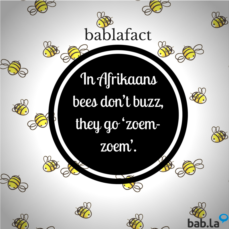babla's tweet photo. #DidYouKnow? #Afrikaans #BablaFact https://t.co/1t9dc1kyf1