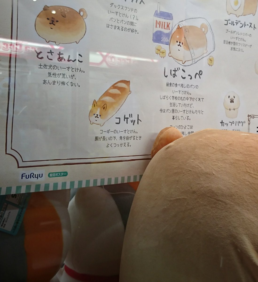 wcp_pan's tweet photo. もうすぐブルエン開場なのにZepp近くのゲーセンで見つけてしまった…コゲット！コゲットぉ！ https://t.co/SFUcVNCe7b