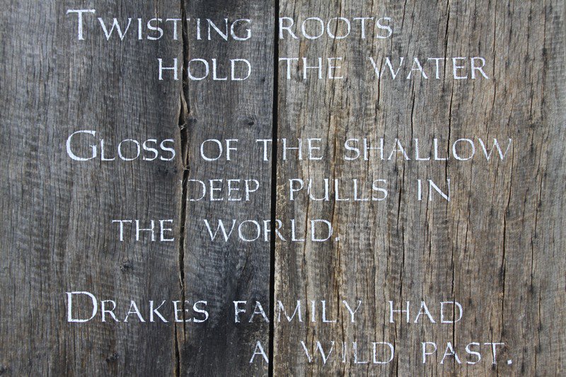 Holiday in Dartmoor tweet media