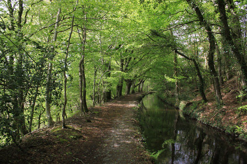 Holiday in Dartmoor tweet media