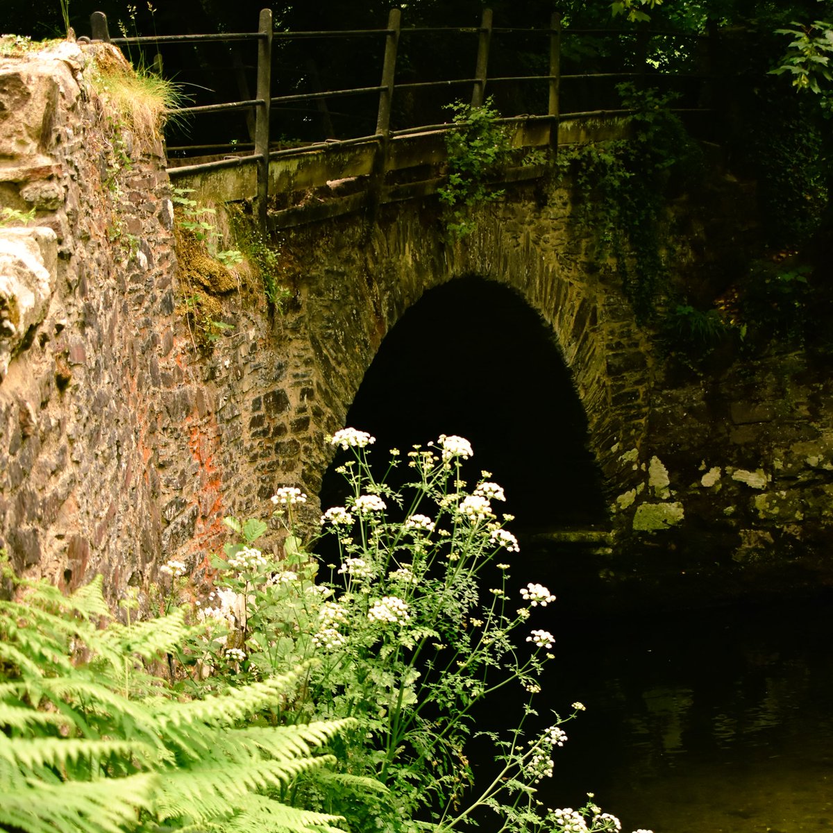RachelBurch2's tweet photo. Grenofen Bridge this week, have a good Friday #Dartmoor #devon. https://t.co/0gMnTSATKF