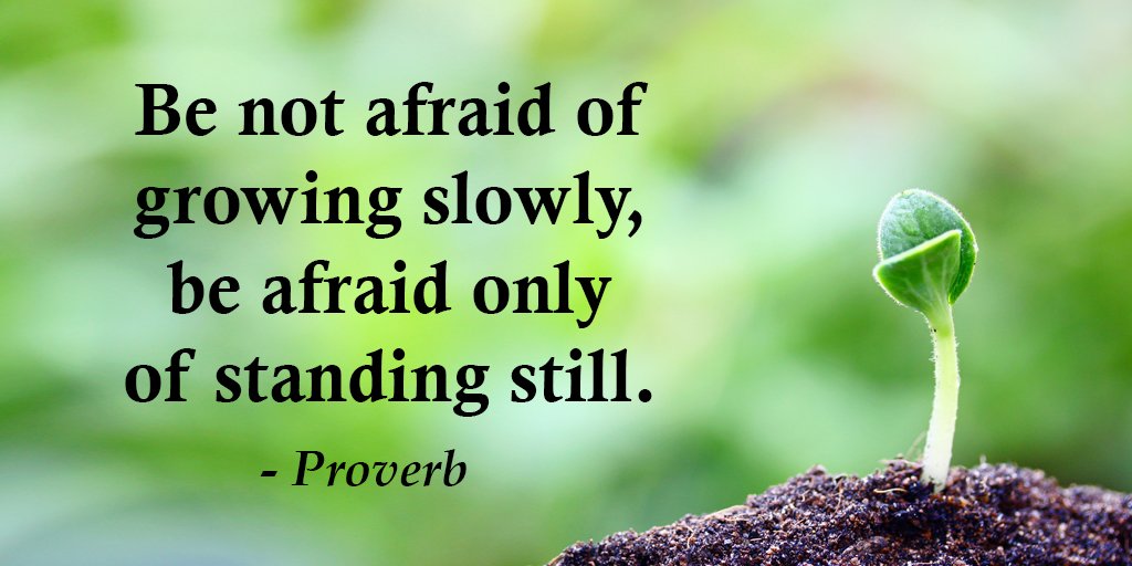 Gary Hensel on Twitter: "Be not afraid of growing slowly, be afraid only of standing still. - Petteri Tarkkonen #quote… "