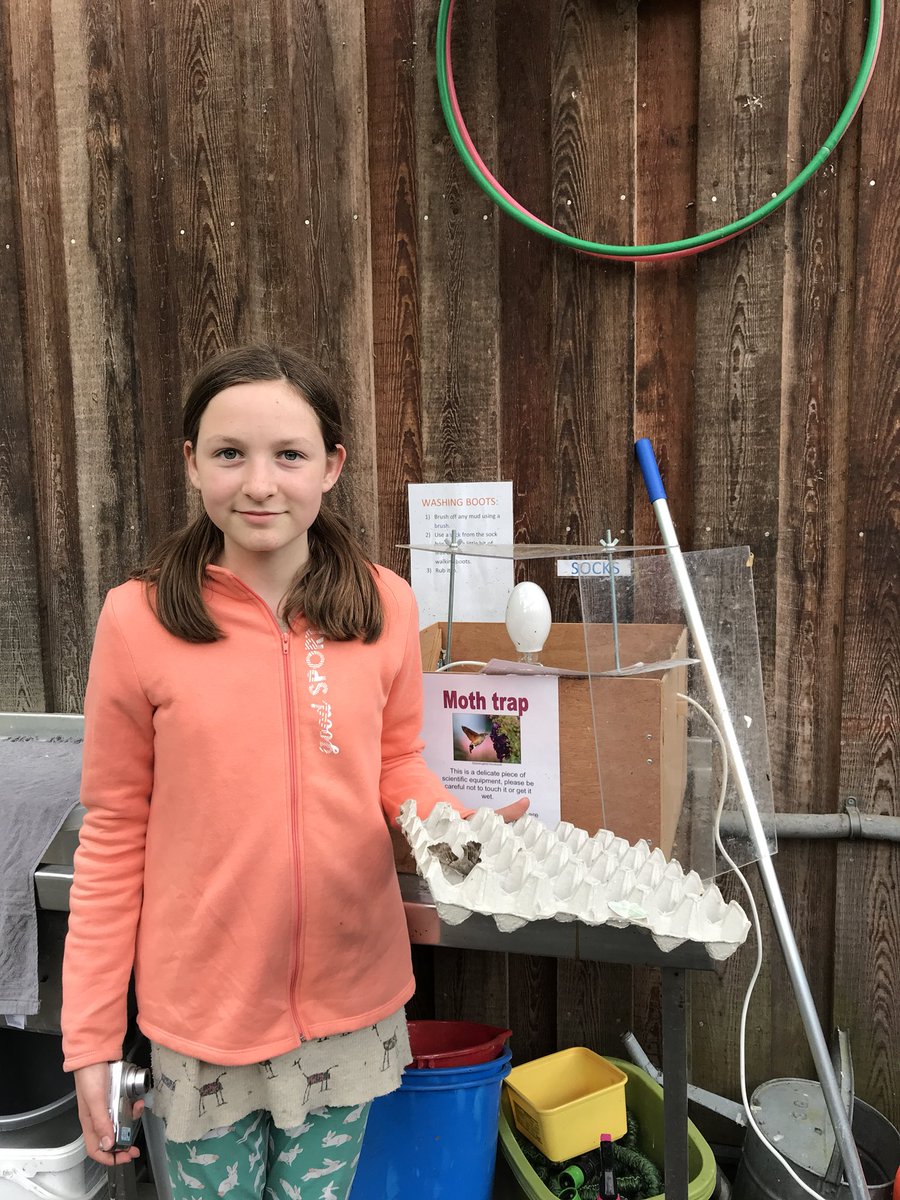 BrookburnP's tweet photo. How exciting the moth trap revealed a poplar hawk moth for our resident enthusiast this morning #mothmagic https://t.co/bNQx2G82Xg