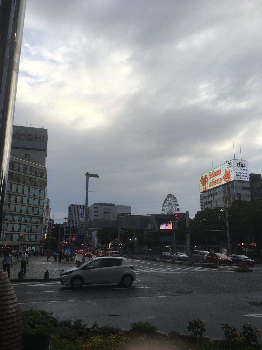 曇天ですね