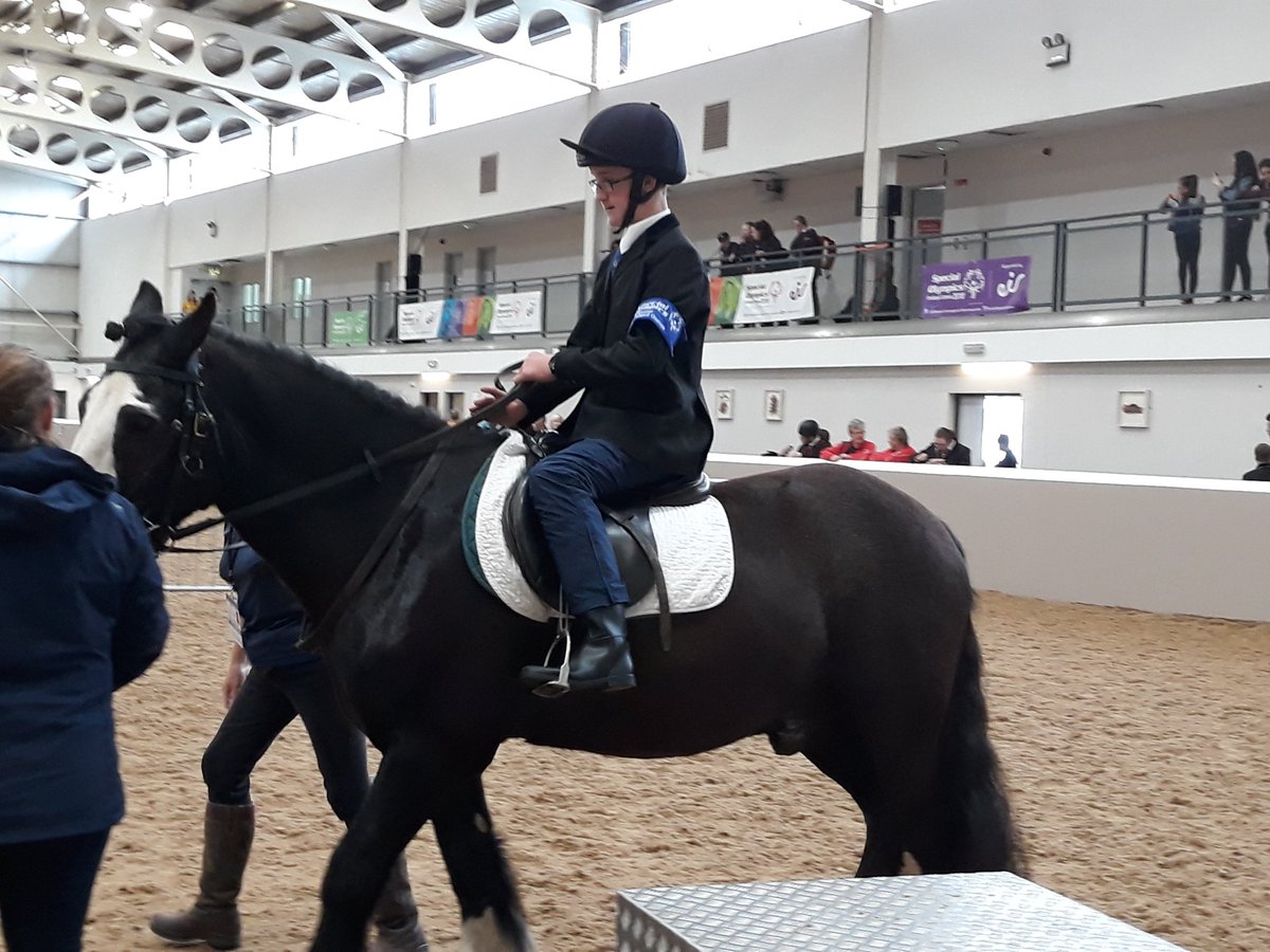 EquestrianSoi's tweet image. Team Leinster are now too in action at the Cherry Orchard Equine Centre #matchingprocess #letsmakepossible #IrelandGames 🐎🍒 🇮🇪