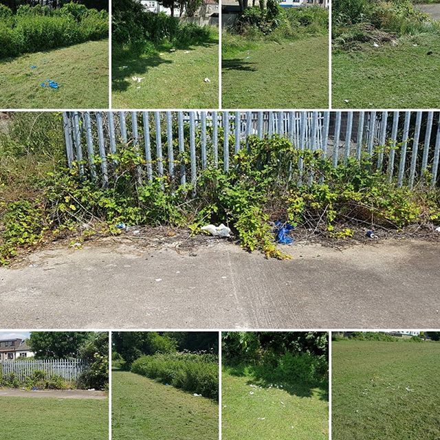 thameslifecdt's tweet photo. Here is the new concrete skatepark in Thames View Estate BEFORE our #YoungCitizensActionGroup arrived yesterday for their organised litter pick with support from @thameswardcp @cleanup_uk and @lbbdcouncil #CleanUpThamesWard @cleanupthamesward https://t.co/XLTNiiAIpm