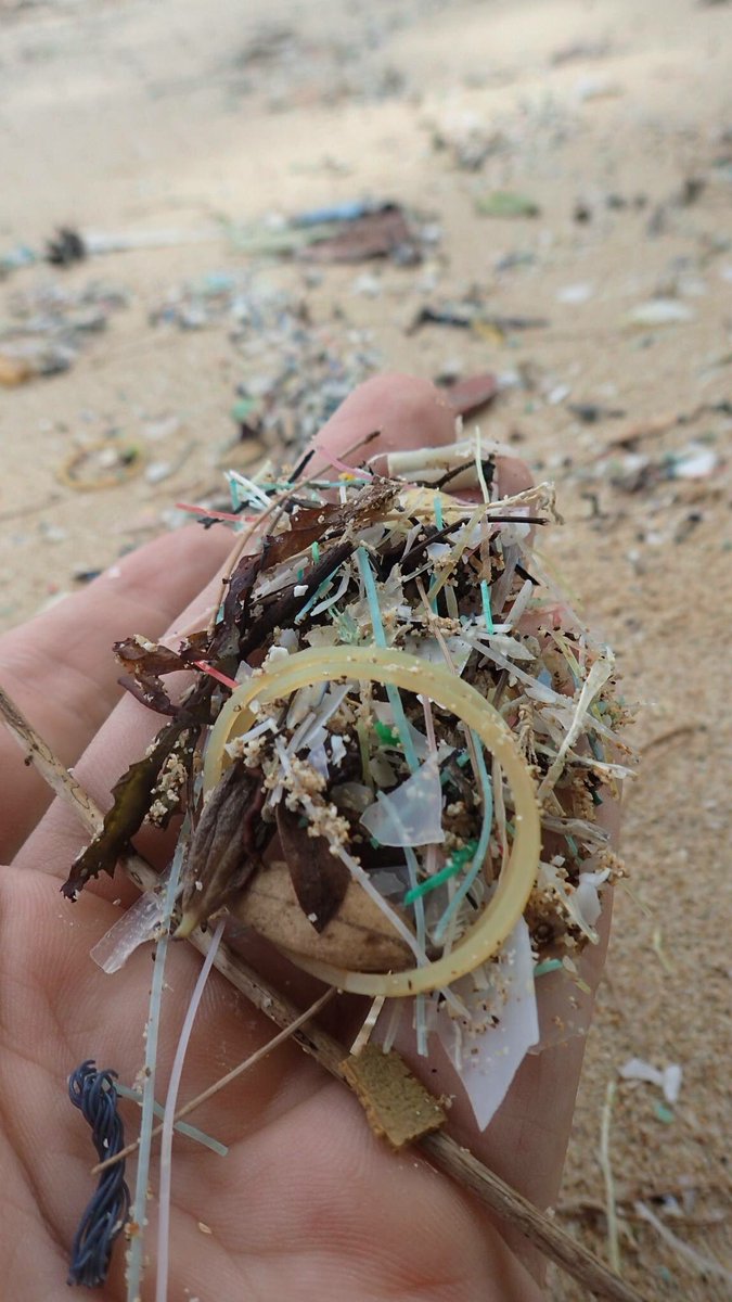 gringreenintl's tweet photo. Witnessing the sobering pollution-based reality of one of our favorite islands; Koh Maak (เกาะหมาก). 🏝
.
#gringreen #gringreeninternational #plaSTICKS #studentbased #ngo #saynotoplastic #KohMaak #LifeCycle #IsThisYours #Weathering #Geology #Reality #DoYourPart #เกาะหมาก https://t.co/UZhehSJRjY