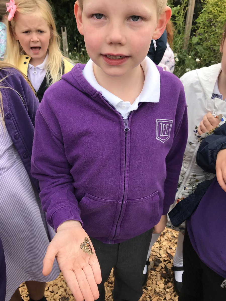 lasswadeps's tweet photo. P3Z released our beautiful butterflies this morning! Good luck to Rose-rose, Andrew, Roxie, Courtney &amp; Ruby!! #butterflygarden Thank you again @loudempsey78  for giving us such a wonderful learning opportunity! https://t.co/3cLHhEjzbg